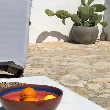 Sofithea קיתנוס